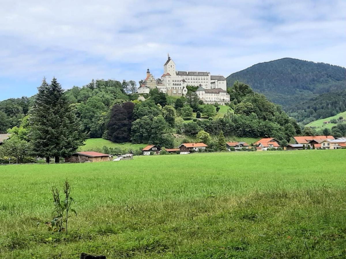 Ferienhaus Kaiserblick - Fewo2 Walchsee Exterior photo